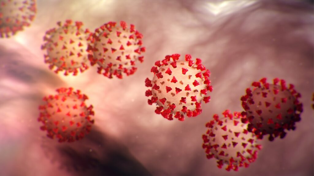 coronavirus germ particles